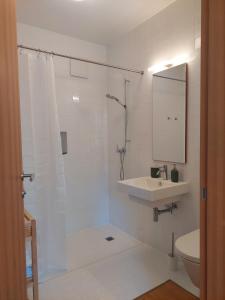 a bathroom with a shower and a sink and a toilet at Apartma Hiša 6 in Bohinj