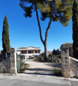 a house with trees in front of a driveway at Gites du Mas Gibert à SAUSSINES entre Nimes et Montpellier in Saussines