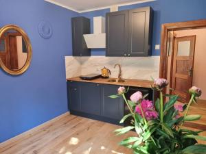 a blue kitchen with a sink and a vase of flowers at Apartament Kraszewskiego - Retro, blisko Starówki, koło parku, ogród dla gości, rowery free in Toruń