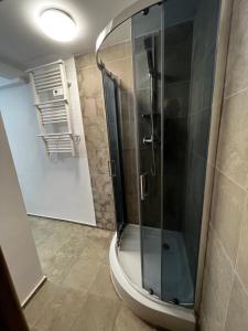a shower with a glass door in a bathroom at Familly Apartament 2 in Międzyzdroje