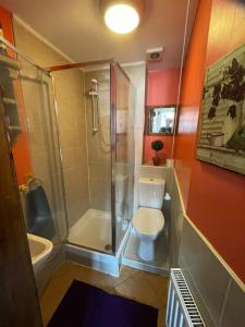 uma casa de banho com um chuveiro, um WC e um lavatório. em Yarm cottages sleeping 12 em Kirk Leavington