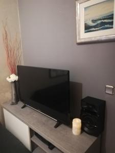 TV a/nebo společenská místnost v ubytování Alnea