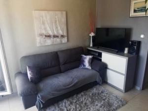 TV a/nebo společenská místnost v ubytování Alnea