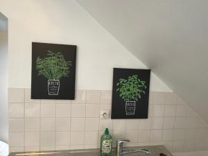 two pictures of plants on the wall above a sink at Le cocon jaune - Studio en hyper centre in Lamballe