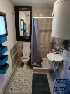 a bathroom with a toilet and a sink and a mirror at Apartments Luka in Tisno