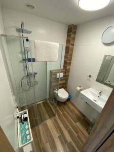 a bathroom with a shower and a toilet and a sink at Tasarz Spa Ośrodek Wczasowy in Rewal