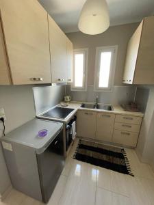 Apricus Apartments في Apolpaina: مطبخ صغير مع حوض وموقد