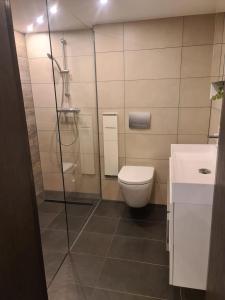 e bagno con doccia, servizi igienici e lavandino. di Appartement am Ziegeleipark a Heilbronn