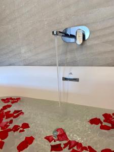 une fontaine d'eau avec des fleurs rouges sur le sol dans l'établissement Casa Rural El Trineo de Campoo - Alto Campoo, à Suano