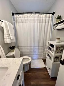 a bathroom with a shower with a toilet and a sink at Beautiful 2 BR 1 BA Cabin in Blue Ridge Mountains: The Little White House in Martinsville