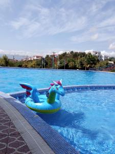 a blue inflatable dragon in a swimming pool at Appartement hôtel cabo dream in Cabo Negro