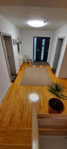 an empty room with a potted plant in the middle at Casa Bita in Sibiu