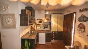 Kuchyňa alebo kuchynka v ubytovaní Buddhalounge Apartments
