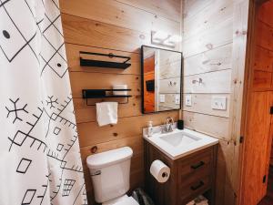 a bathroom with a toilet and a sink and a mirror at Cabin 2 One Bedroom W Kitchen in Hartwell