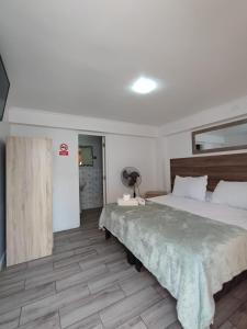 a bedroom with a large bed and a mirror at Doña Francisca in Arica