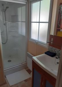 a bathroom with a shower and a sink at Mobil-home "Le pin bleu" à St-Paul-les-Dax in Mées