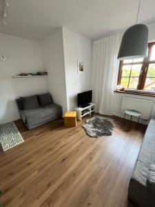 - un salon avec un canapé et une télévision dans l'établissement Apartament Love Góry Karpacz Centrum, à Karpacz