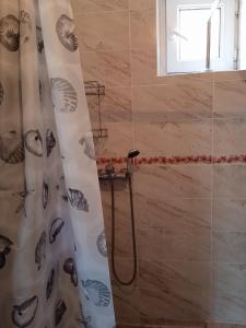 La salle de bains est pourvue d'une douche avec rideau de douche. dans l'établissement Brand House, à Bosteri