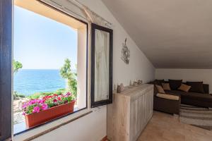Táj Show holiday homes közelében