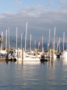 een groep boten aangemeerd op een dok in het water bij Appartement an der Ach Lindau in Lindau
