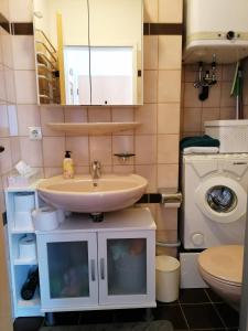 een badkamer met wastafel en wasmachine bij Appartement an der Ach Lindau in Lindau