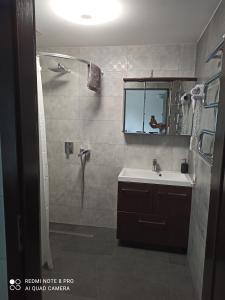 bagno con doccia, lavandino e specchio di Zakątek Turysty a Świbno