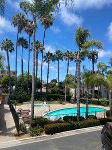 una piscina con palmeras en un complejo en Hotel Palmeras Chula Vista, en Chula Vista