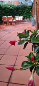 A garden outside Appartamento comodo per Lerici e 5 Terre