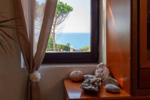 Táj Show holiday homes közelében