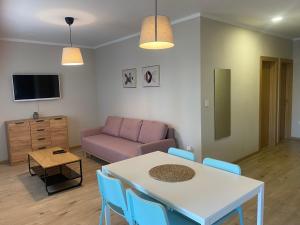 Televízia a/alebo spoločenská miestnosť v ubytovaní M Plus Residence