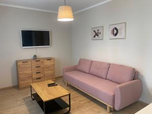 Televízia a/alebo spoločenská miestnosť v ubytovaní M Plus Residence