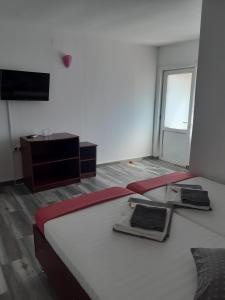 スリナにあるCasa Davidのベッド2台とテレビが備わる客室です。