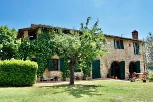 uma grande casa de pedra com uma árvore no quintal em Podere Bargnano Cetona, Sleeps 14, Pool, WiFi, Air conditioning em Cetona