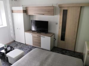 TV a/nebo společenská místnost v ubytování Apartmán Nikolka