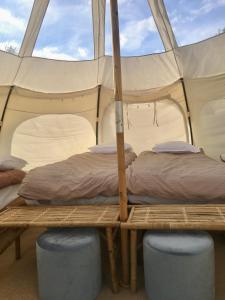 a bedroom with two beds in a tent at Hvidegaard Møn in Stege