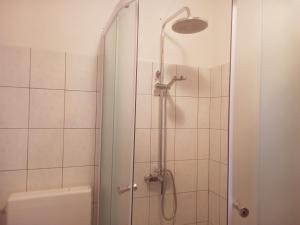 une salle de bain avec douche et toilettes dans l'établissement Apartman Luka, à Blato 20 autres photos