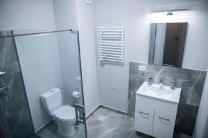 a bathroom with a toilet and a sink and a shower at BlueSky Premium Apartment Baile Felix in Baile Felix +8 photos