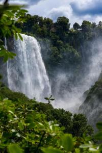 una cascata in mezzo a una foresta di Appartamenti Natura e Terra Marmore a Terni