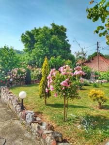 Zahrada ubytování Knez Apartmani