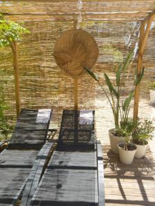 2 bancs assis sur un patio orné de plantes dans l'établissement Magnifique Cabanon face au Garlaban à Aubagne, à Aubagne