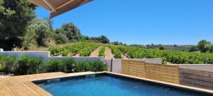 a swimming pool in the backyard of a home with a vineyard at Vacance de Reve in Causses-et-Veyran