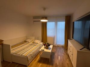 Deluxe Single Room Apartament tesisinde bir odada yatak veya yataklar