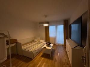 - une chambre avec un lit, une télévision et une table dans l'établissement Deluxe Single Room Apartament, à Bragadiru