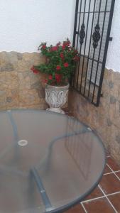 Fotografie z fotogalerie ubytování APARTAMENTO ANTONIA 1 v destinaci Agua Amarga