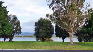 a field of grass with trees and a body of water at The Great Escape, Luxury Waterfront, HotTub in Whitianga