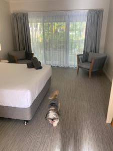 Postel nebo postele na pokoji v ubytování Woolgoolga Coast Motel