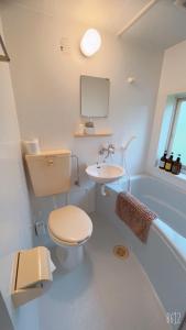 a bathroom with a toilet and a sink and a tub at BBQ & Rental Villa Palm Village in Minamiboso +27 photos