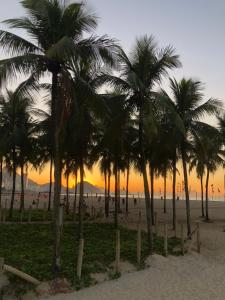 a group of palm trees on a beach at sunset at Copa Beach Home - Copacabana Posto 4 Quadra da Praia in Rio de Janeiro
