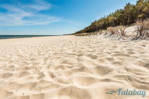 piaszczysta plaża z odciskami stóp w piasku w obiekcie Domki Falabay w Karwieńskim Błocie