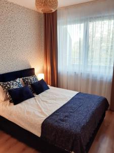 Un pat sau paturi într-o cameră la Apartament Waldi